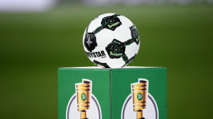 Premiere: "Chip im Ball" beim Pokalfinale