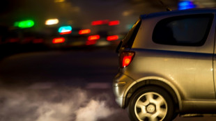 Su&egrave;de: hausse record des &eacute;missions de gaz &agrave; effet de serre en 2024