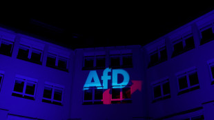 Berlino replica a Rubio sull'Afd, 'questa è democrazia'
