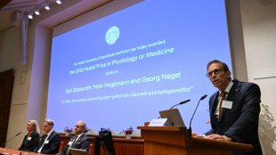 Zwei Forscher aus Deutschland erhalten Medizin-Nobelpreis - Auch US-Kollege geehrt