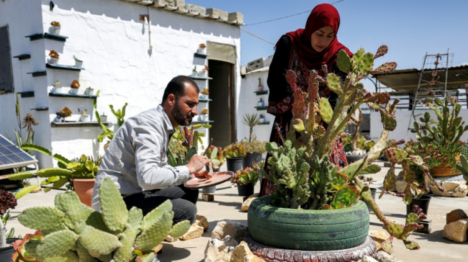 A Gaza, l'&eacute;conomie de la d&eacute;brouille pour &eacute;chapper &agrave; la mis&egrave;re
