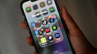 R&eacute;seaux sociaux: face aux g&eacute;ants, des Europ&eacute;ens jouent la carte &eacute;thique