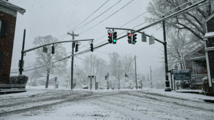 La r&eacute;gion de New York sous un &eacute;pais manteau neigeux