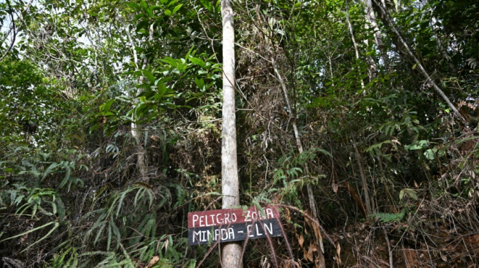 Colombie : la gu&eacute;rilla de l'ELN annonce la reprise des enl&egrave;vements