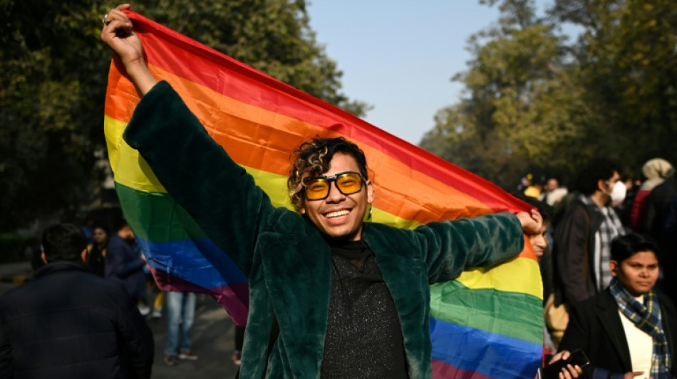 Marche des Fiert&eacute;s &agrave; Delhi, appels &agrave; la reconnaissance du mariage pour tous