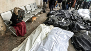Pas de r&eacute;pit dans la guerre &agrave; Gaza malgr&eacute; un appel du Conseil de s&eacute;curit&eacute; &agrave; un cessez-le-feu