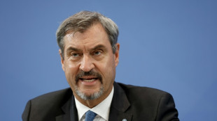 Kernkraft: S&ouml;der fordert "Mini-Meiler" f&uuml;r wirtschaftliche Erholung