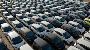 "Langfristig denken": EVP-Chef Weber wirbt f&uuml;r EU-Z&ouml;lle auf E-Autos aus China