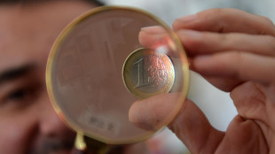L'euro &egrave; in lieve calo, a 1,1452 sul dollaro