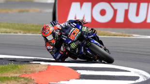 MotoGp: Olanda, Quartararo il più veloce nelle libere