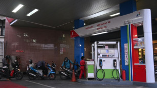 El consumo mundial de petróleo aumentará menos de lo previsto en 2025, según la Opep