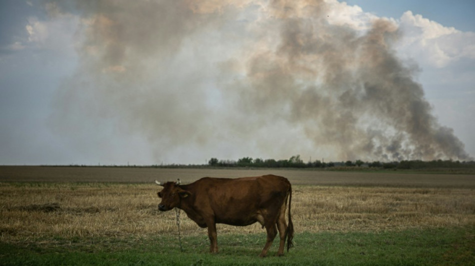 Weiter heftige K&auml;mpfe im S&uuml;den der Ukraine
