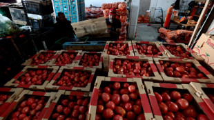 México busca diálogo con EEUU sobre aranceles al tomate 