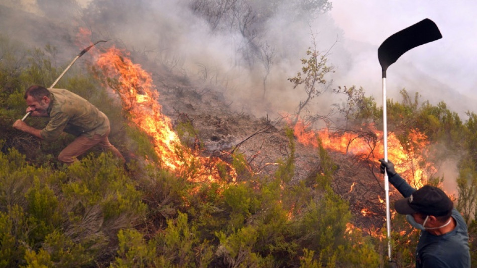 Climate change made heat behind deadly Iberian fires 40 times more likely: study