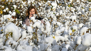 La economía rusa apenas crece en el tercer trimestre por el gasto militar