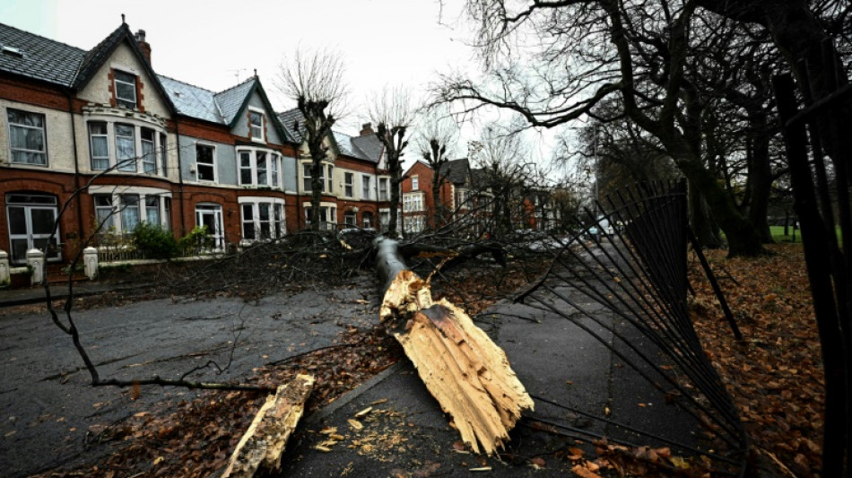 Sturm "Darragh": Zehntausende in Gro&szlig;britannien ohne Strom - Mann von Baum erschlagen