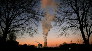 Vers une consommation record de charbon en 2025, avant un d&eacute;but de d&eacute;clin