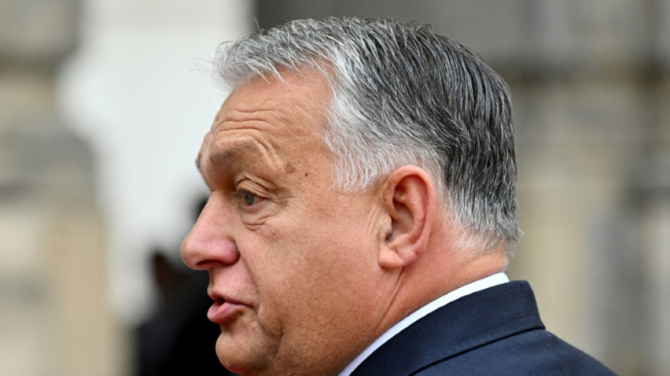 Ungarn startet B&uuml;rgerbefragung zu Russland-Sanktionen der EU