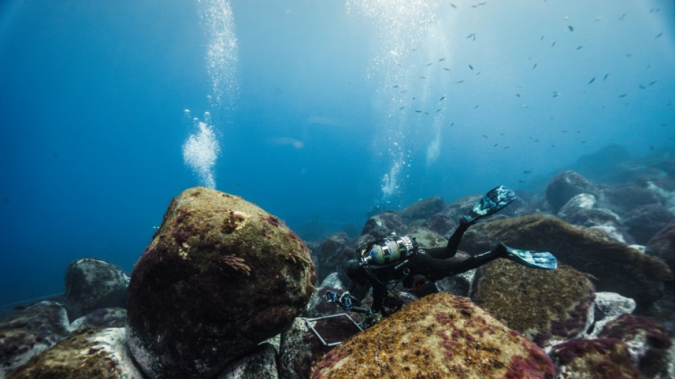 Frente a Madeira, cient&iacute;ficos en la primera l&iacute;nea de la protecci&oacute;n de los oc&eacute;anos