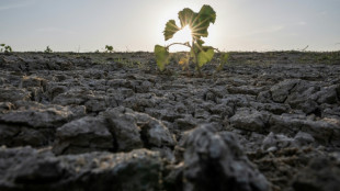 France on course for driest July on record: weather office