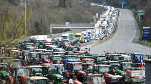 Les agriculteurs espagnols et fran&ccedil;ais bloquent la fronti&egrave;re pour "peser" sur les europ&eacute;ennes