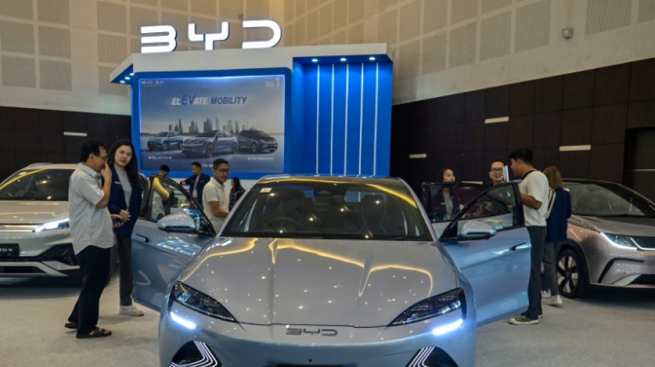 Auto-Experte Dudenh&ouml;ffer warnt vor EU-Z&ouml;llen auf chinesische E-Autos
