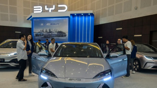 Auto-Experte Dudenh&ouml;ffer warnt vor EU-Z&ouml;llen auf chinesische E-Autos
