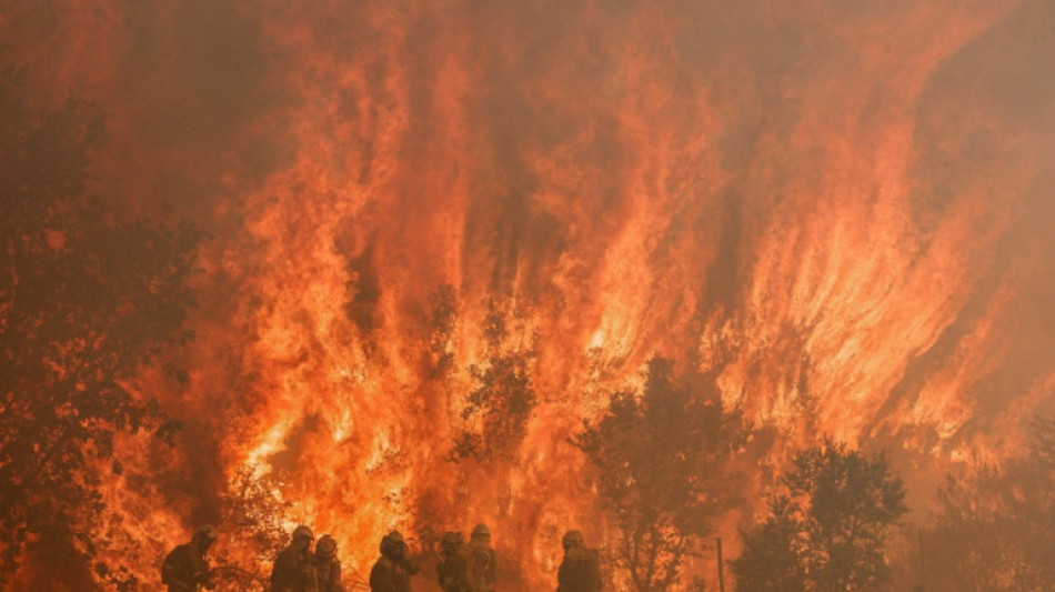 Zweites Todesopfer durch Waldbrände in Nordwestspanien