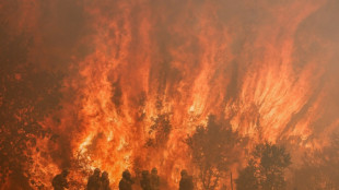 Zweites Todesopfer durch Waldbrände in Nordwestspanien