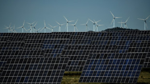 March&eacute; de l'&eacute;lectricit&eacute;: la r&eacute;forme de l'UE pour doper les &eacute;nergies d&eacute;carbon&eacute;es