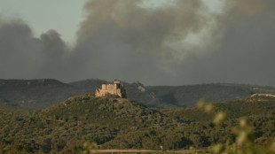 Narbonne: 2.000 hectares parcourus par l'incendie, l'A9 toujours fermée