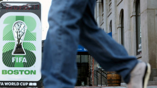 Fu&szlig;ball-WM: Boston treibt Transportkosten f&uuml;r Fans hoch