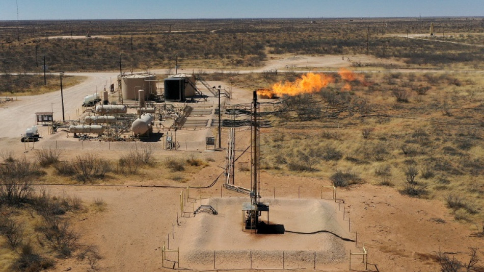 Regierungskreise: Trump will laxere Klimaauflagen f&uuml;r &Ouml;l- und Gassektor bei Methan