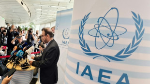 El Parlamento de Irán vota a favor de suspender la cooperación con el organismo de supervisión nuclear de la ONU
