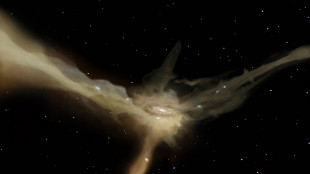 Risolto grazie ai raggi X un mistero stellare vecchio di 50 anni