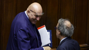 Crosetto,bruciare tutto in Italia non serve ai palestinesi