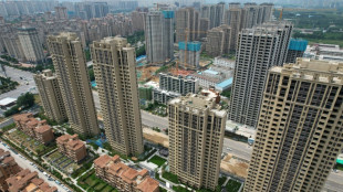 Ces Chinois qui refusent de rembourser leurs pr&ecirc;ts immobiliers