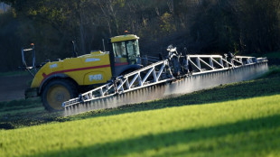 Pesticides: l'agence sanitaire alerte sur des effets néfastes pour la santé des jeunes enfants