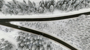 Winterchaos legt Teile S&uuml;ddeutschlands lahm - Flug- und Bahnverkehr eingestellt