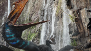 Torna Jurassic World con Scarlett Johansson eroina senza paura