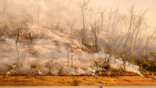 Climat: la chaleur mondiale toujours aux sommets en mars