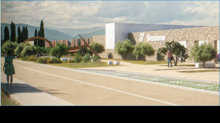 Rfi, aggiudicata gara 1,6 miliardi per nuova linea Av Sa-Rc