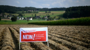 Schweizer stimmen &uuml;ber Rentenreform und Umweltschutz ab