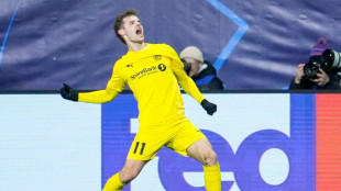 Bodo/Glimt down Sporting to continue dream Champions League debut