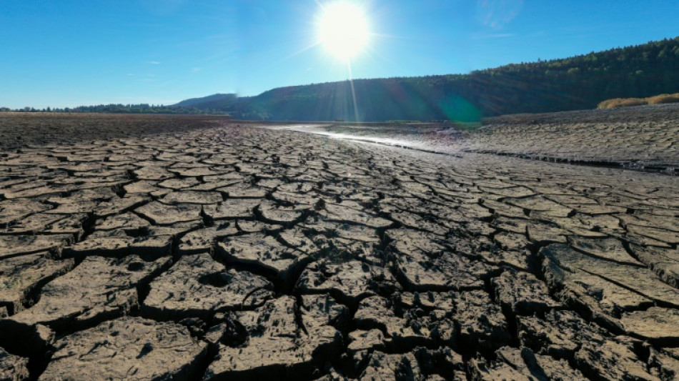 France: 2022, ann&eacute;e la plus chaude et exceptionnellement s&egrave;che