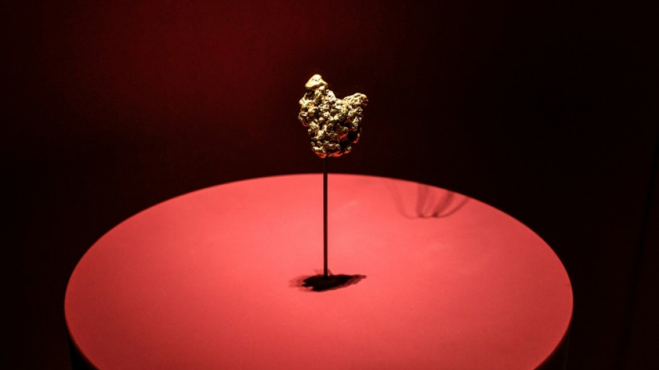 Chinese woman charged over gold theft at Paris Natural History Museum