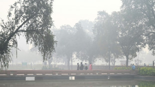 Des niveaux de pollution "dangereux" à Delhi dus aux brûlages agricoles