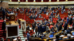 Retraites: les r&eacute;gimes sp&eacute;ciaux au menu de l'Assembl&eacute;e entre deux mobilisations