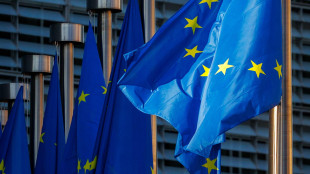 Ue, 'chiediamo a Israele di cessare la sua operazione in Libano'