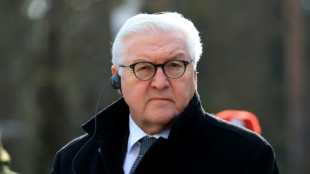 "Spiegel": Steinmeier erw&auml;gt Reise nach Kiew